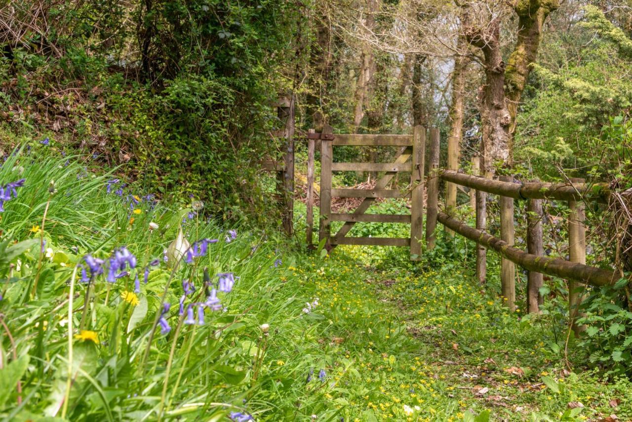 Nutsford House Bed & Breakfast Dulverton Exterior foto